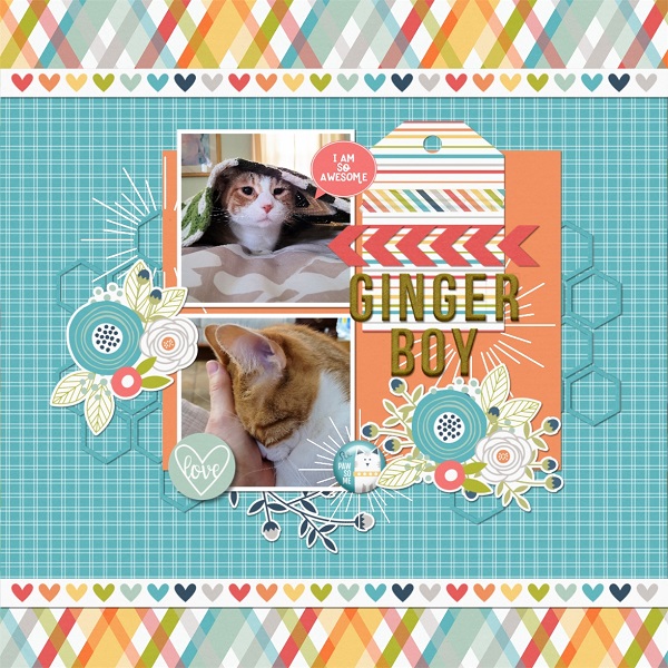 Ginger Boy
