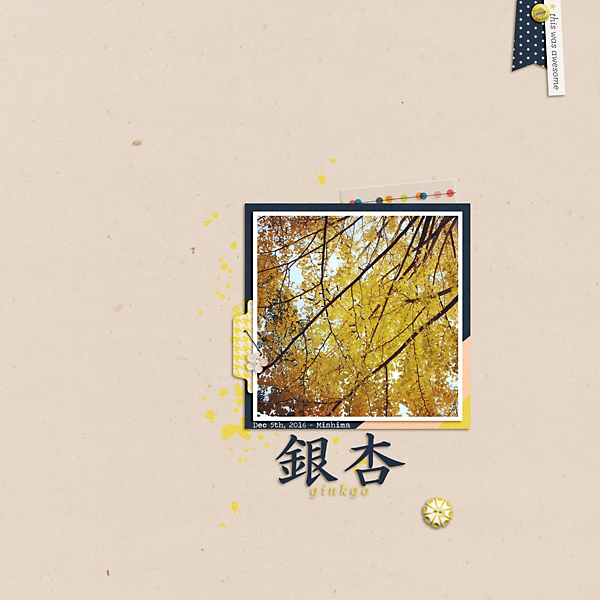 Ginkgo