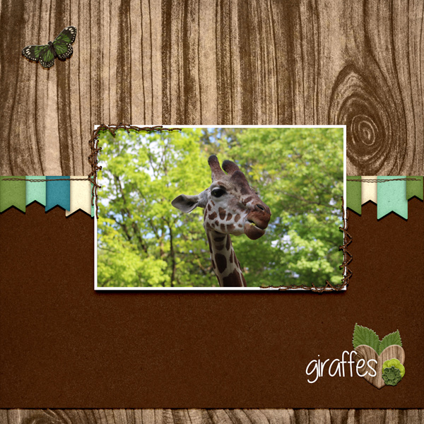 GIRAFFE