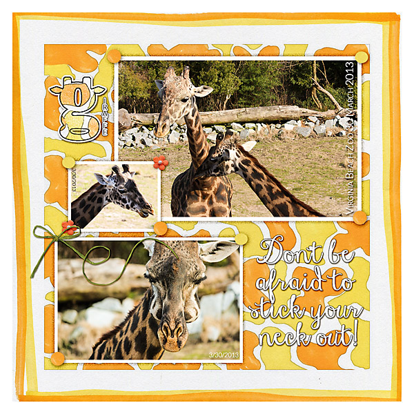 Giraffes