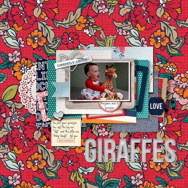 GiraffesSS112018BTC