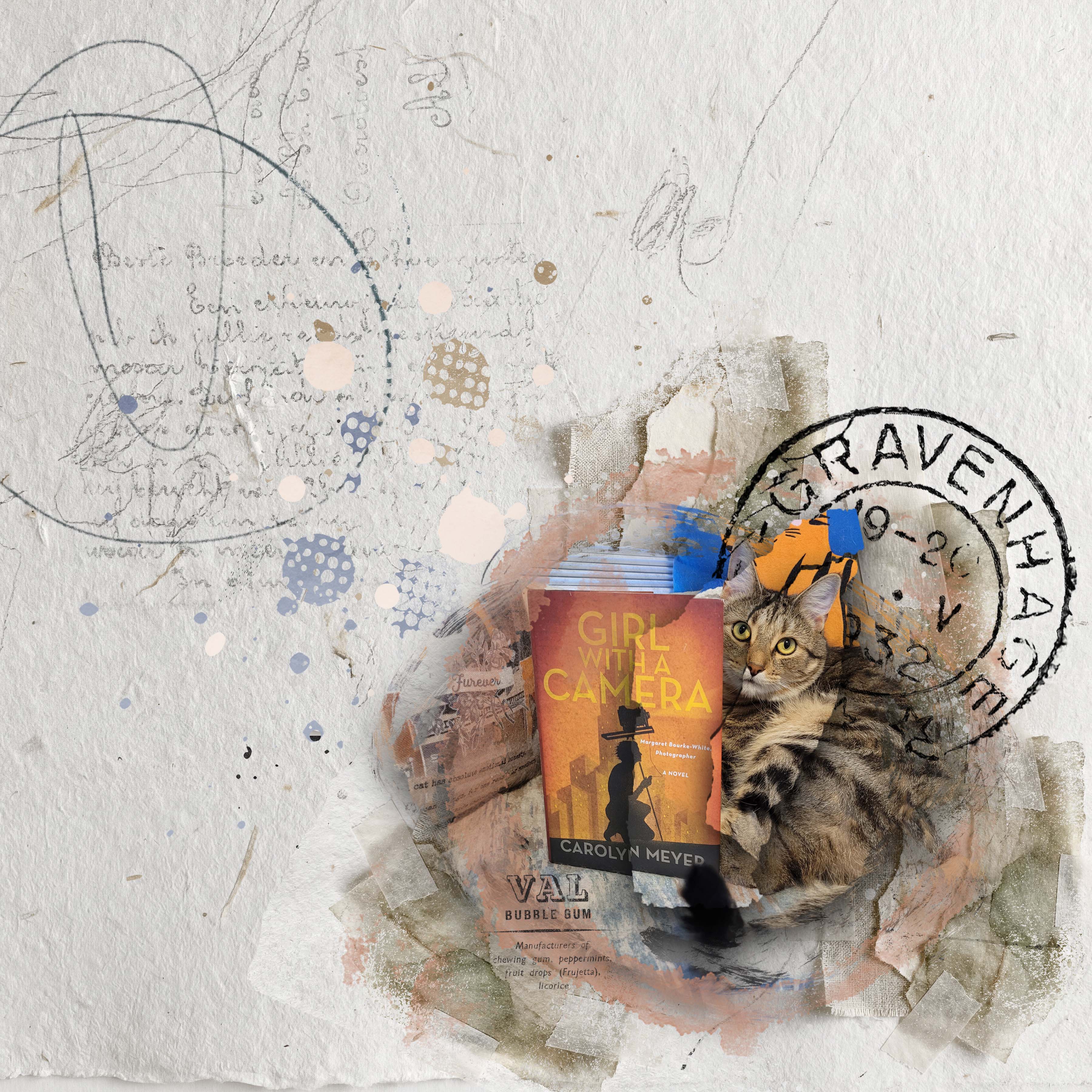 Girl With a Camera Cat With a Book.jpg