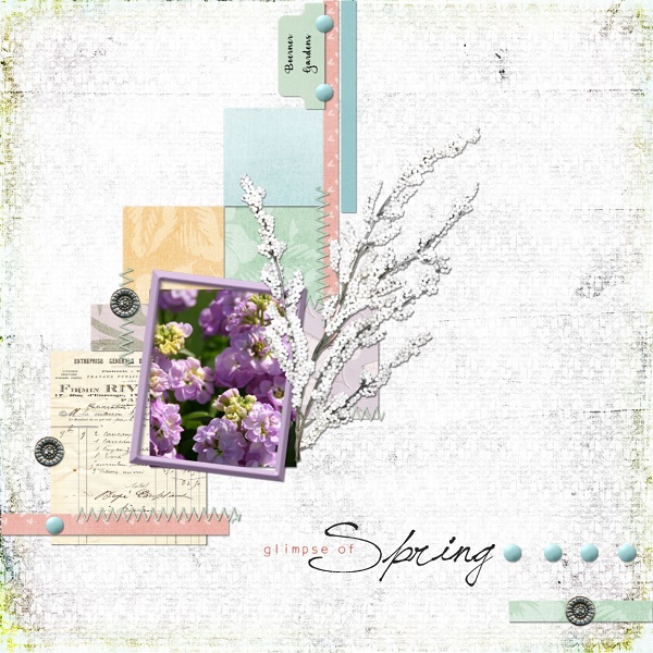 Glimpse Of Spring