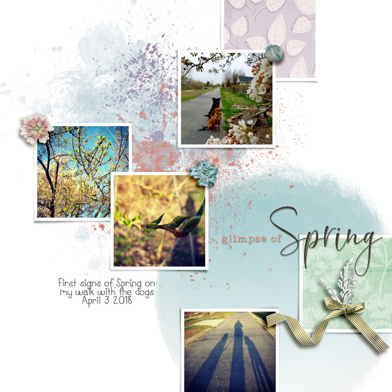 Glimpse-of-Spring