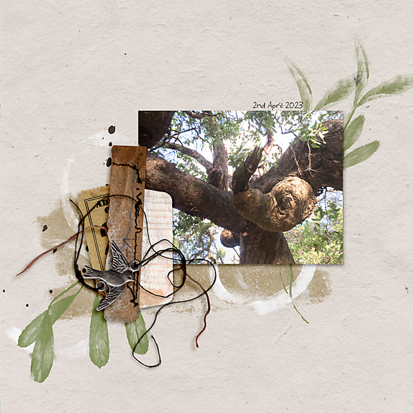 Gnarled Tree