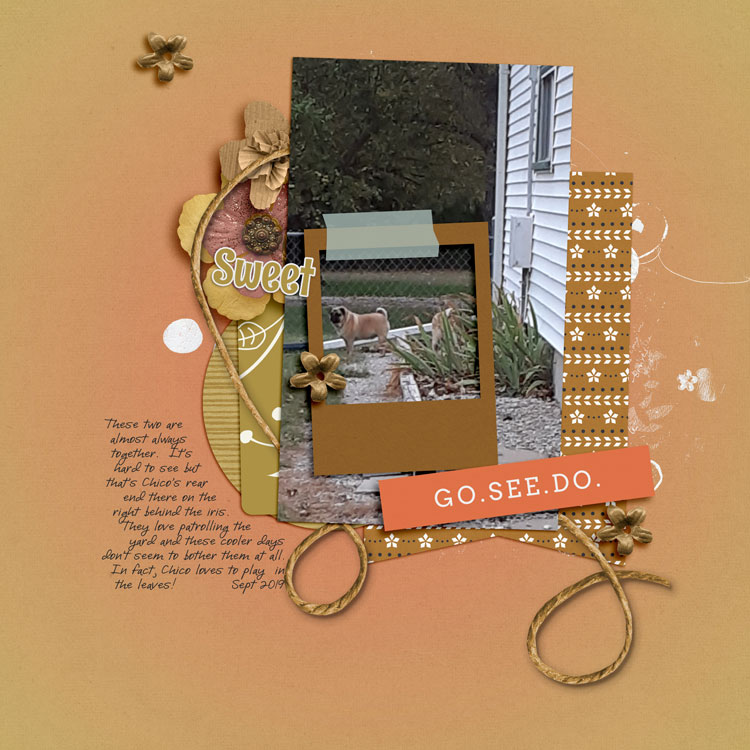 Go-see-do