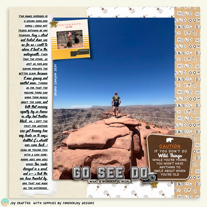 Go-see-do