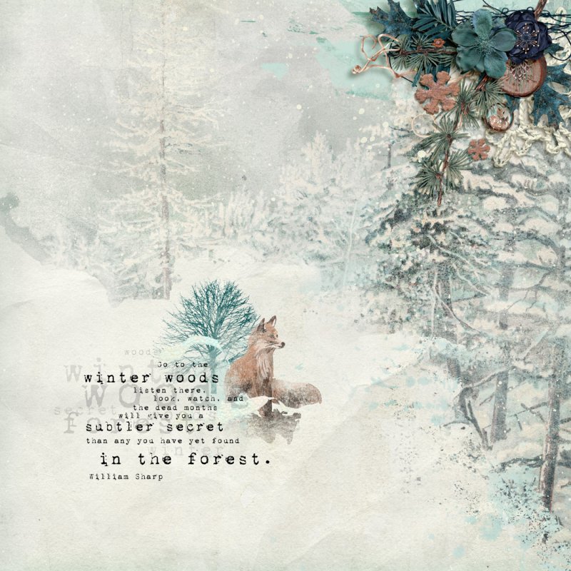 Go to the winter woods