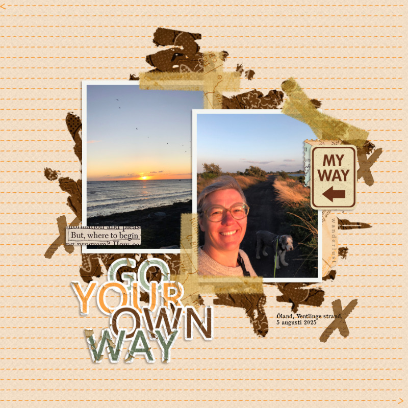 Go Your Own Way