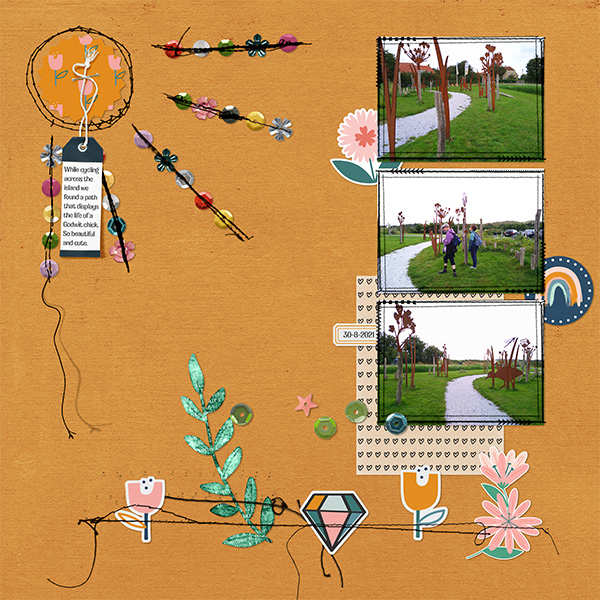 Godwit MOC10 23