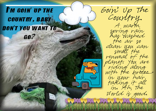 Goin'-Up-The-Country