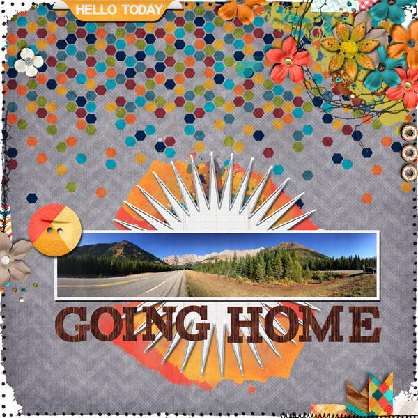 Going Home