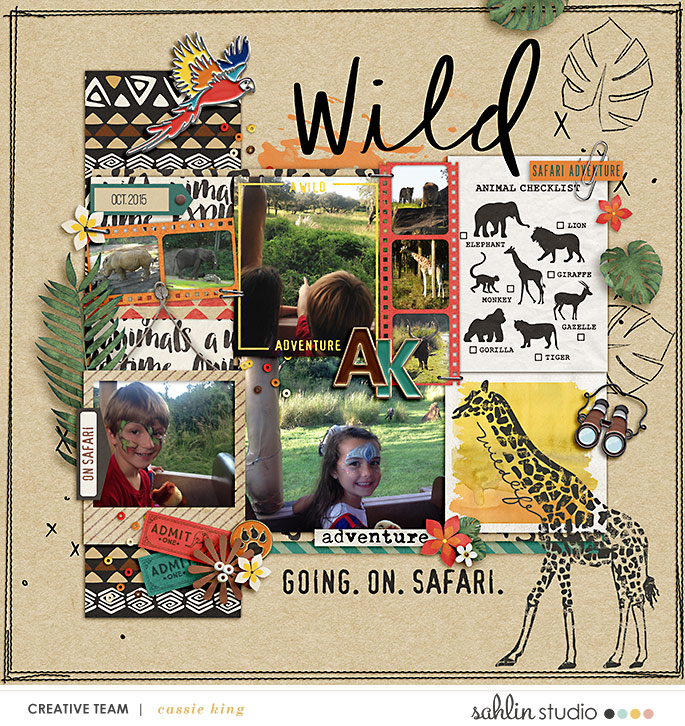 Going On Safari