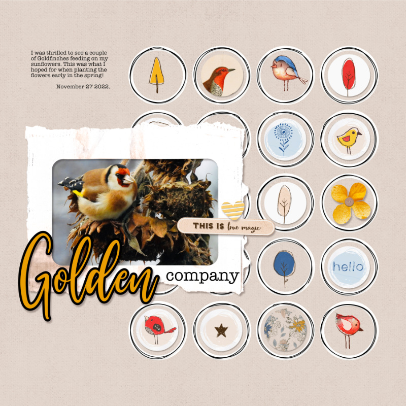 Golden Company