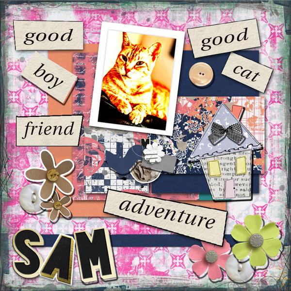 Good Boy, Sam