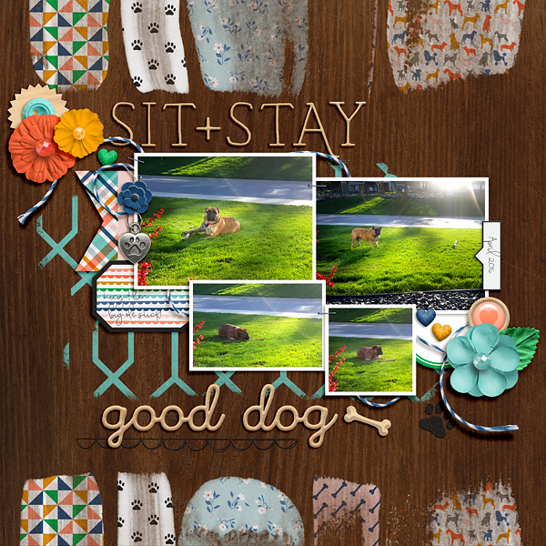 Good Dog