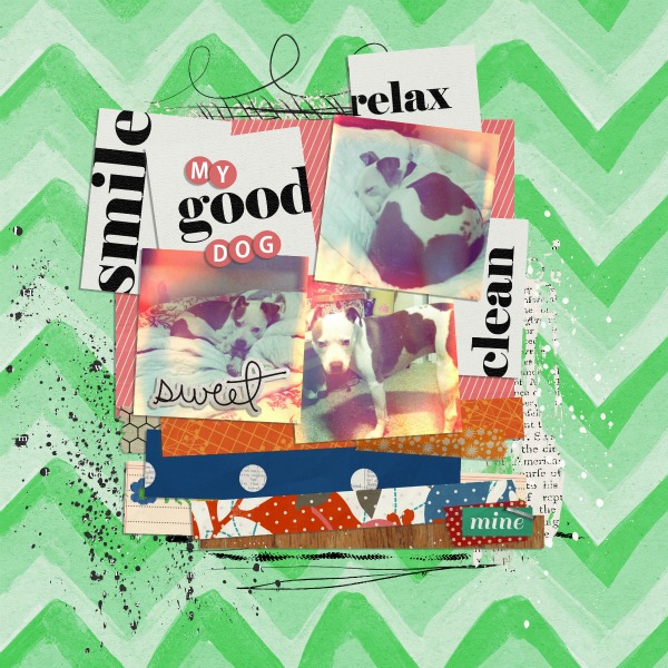 good dog