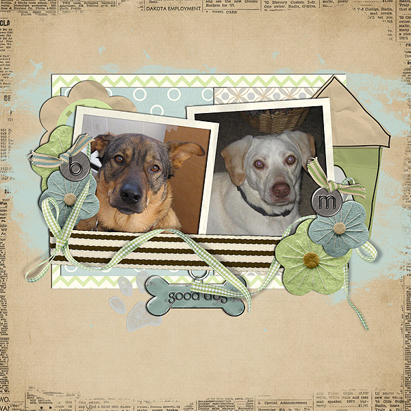 Good dogs