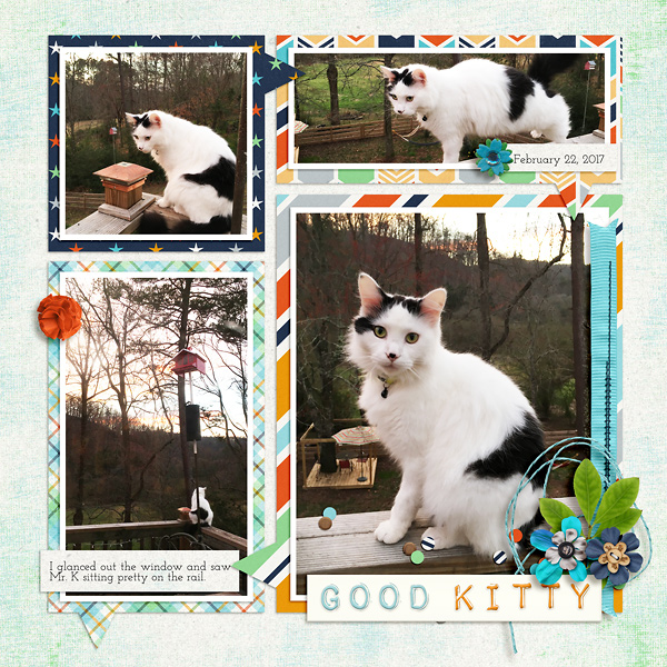 Good Kitty