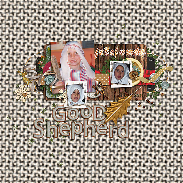Good Shepherd