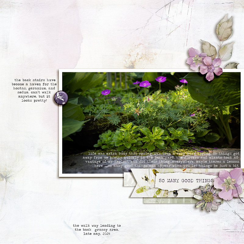 good things appear | photography challenge june '24