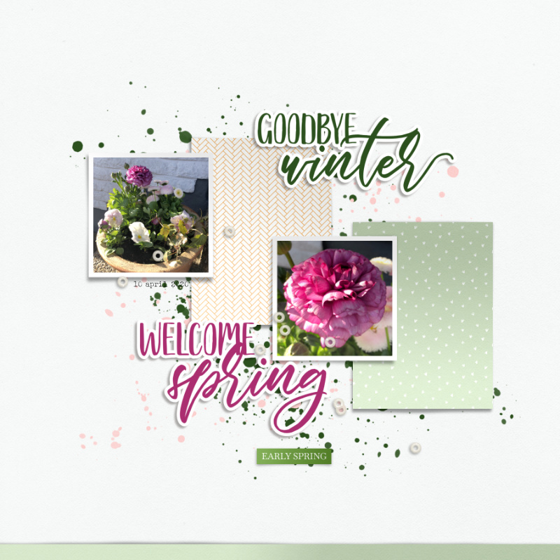 Goodbye Winter - Hello Spring