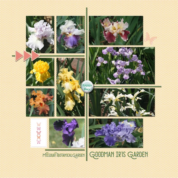 Goodman Iris Garden