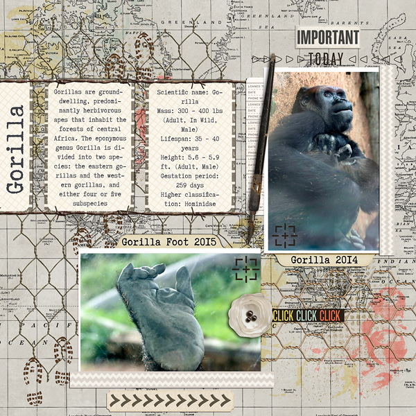 Gorilla