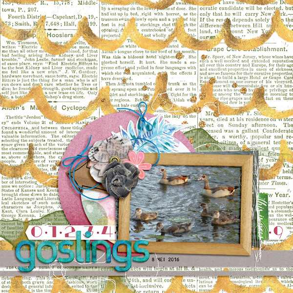 Goslings