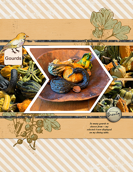 Gourds_Forage_flowersgal_web
