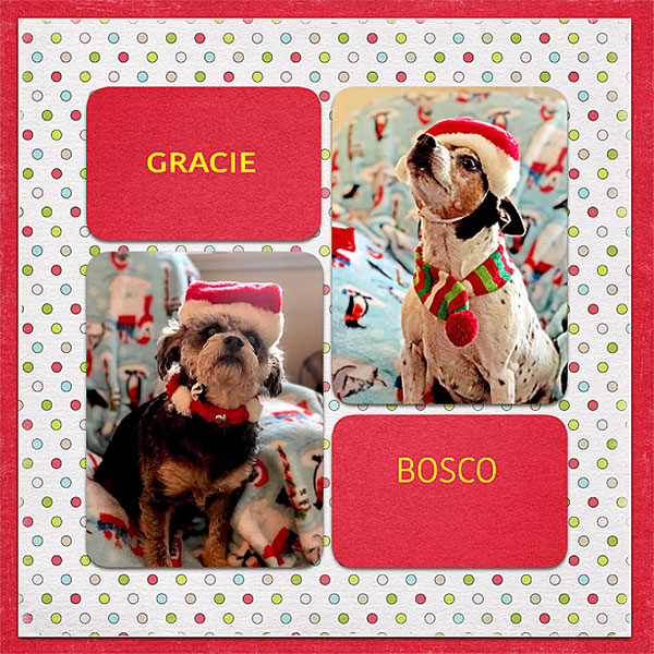 GRACIANDBOSCO-6001