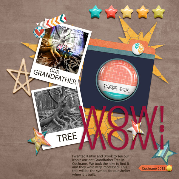 Grandfather Tree
