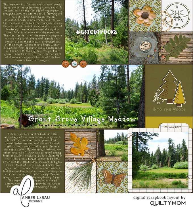 Grant Grove Village Meadow