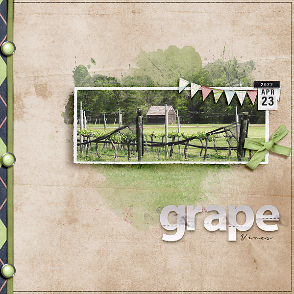 Grape Vines