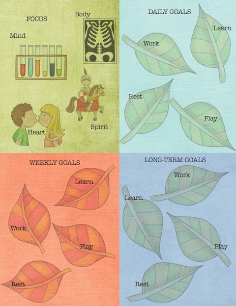 Graphic Organizer