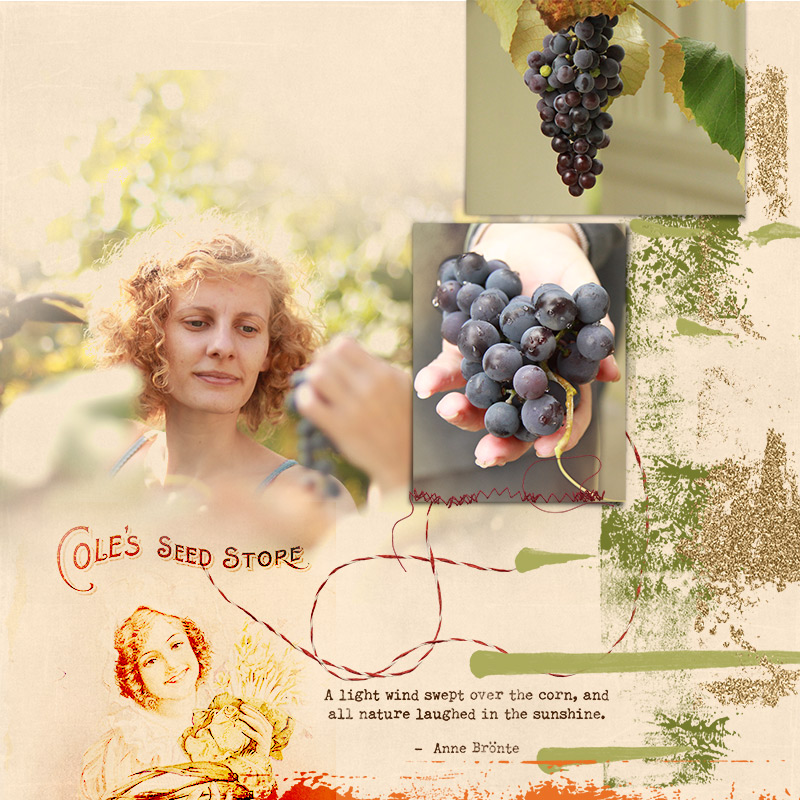 Grappes