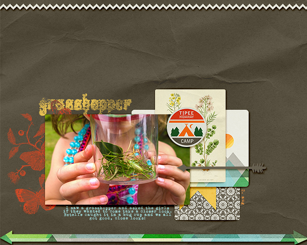 Grasshopper