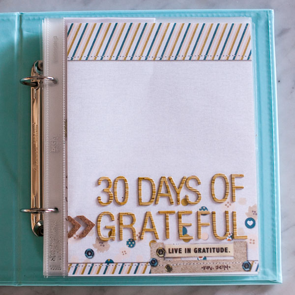 grateful project 2014 - cover page