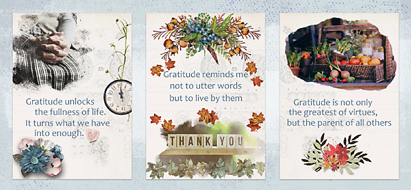 Gratitude Cards, AJ Muse-Nov