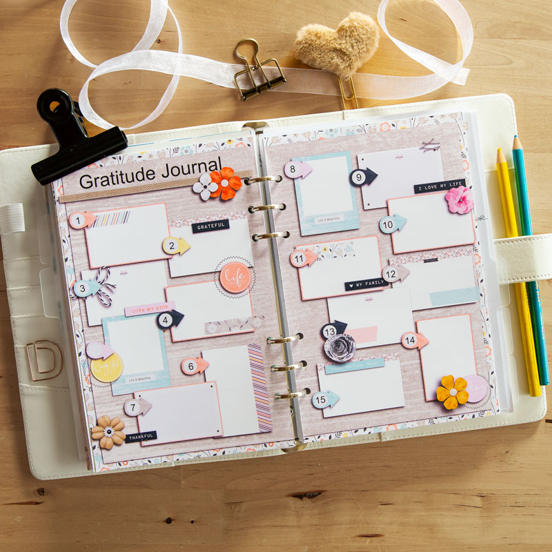 Gratitude Journal (hybrid)