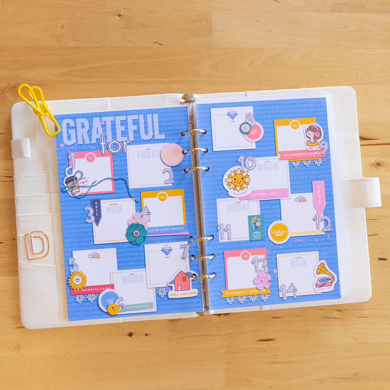 Gratitude Journal (hybrid)