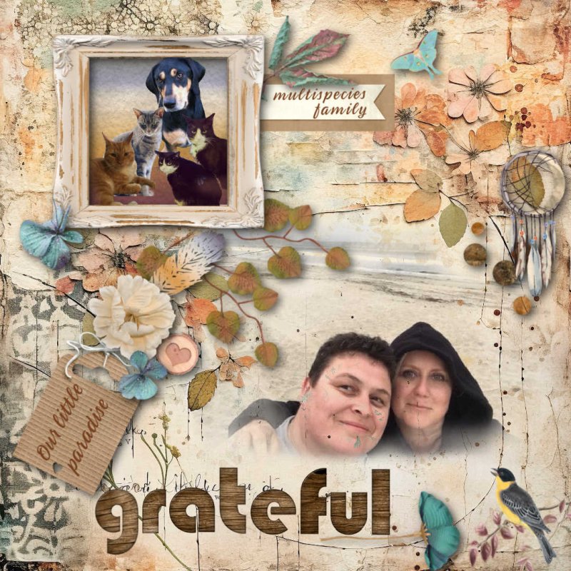 Gratitude November Challenge