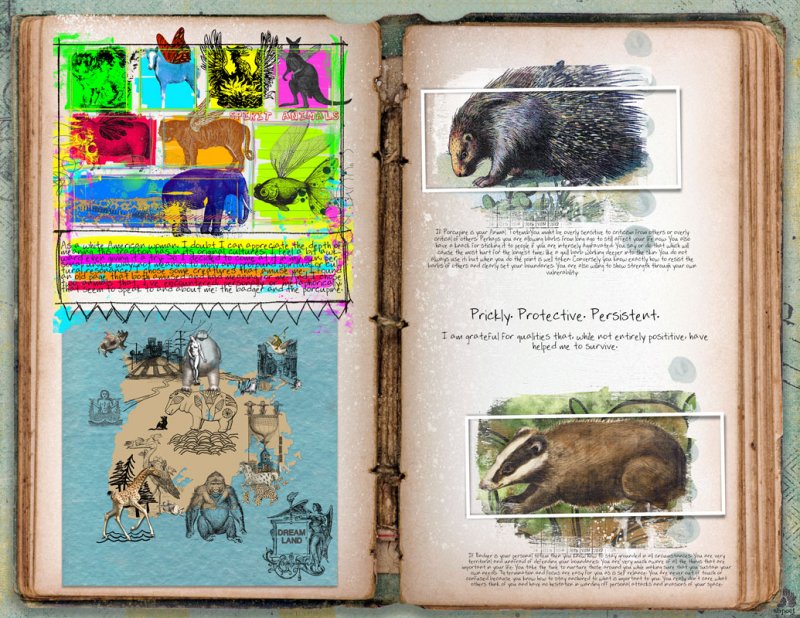 [GRATITUDE] SPIRIT ANIMALS