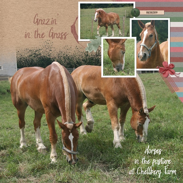 Grazin' In The Grass