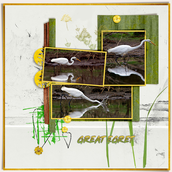 Great Egret