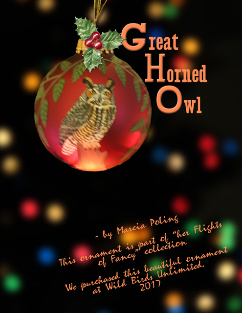 Great-Horned-Owl-(2017)