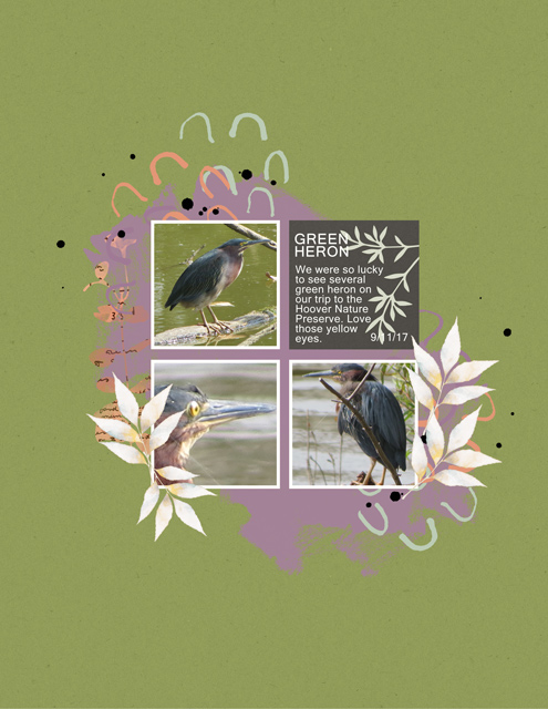 Green-Heron-(2)
