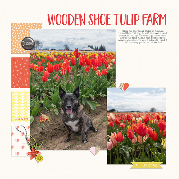 Grizz In The Tulips