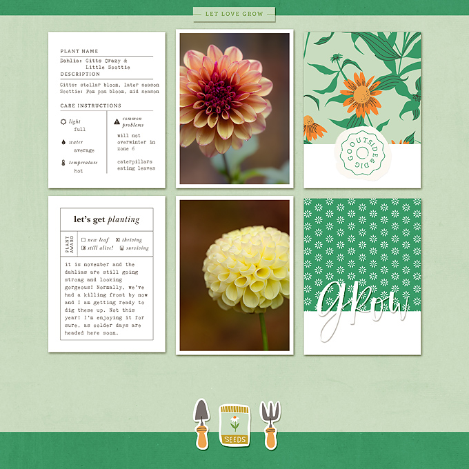grow | for dec byoc celebration