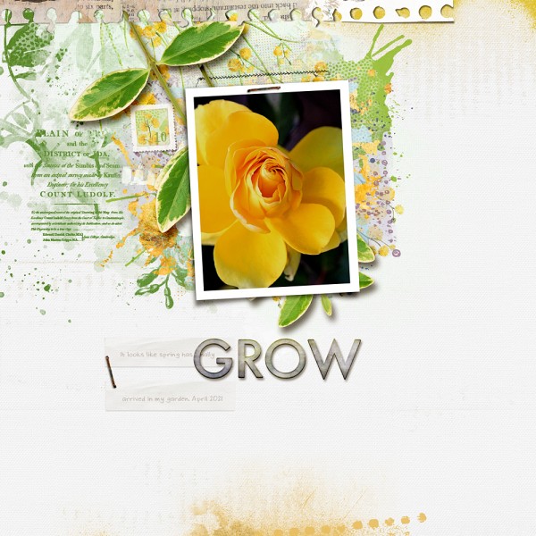 Grow
